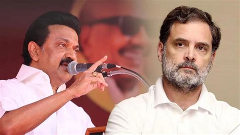 DMK hits out as Congress directs TNCC to take final call on Vijay's ...
