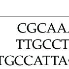 Image result for TaqMan Probe Structure