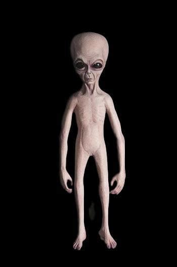 Image result for Alien Halloween Props