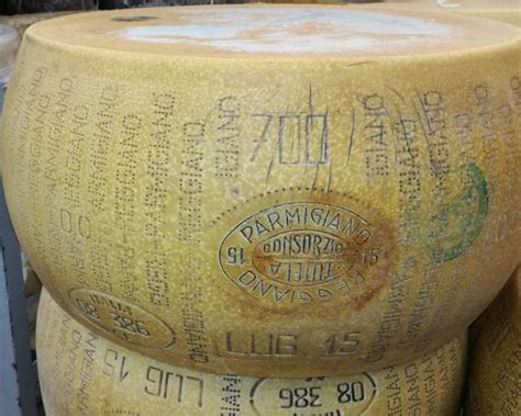 Commercio all'ingrosso formaggi e salumi - Real Formaggi