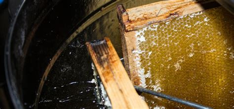 Image result for Create Dacpac File Visual Studio