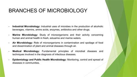BRANCHES OF MICROBIOLOGY.pptx