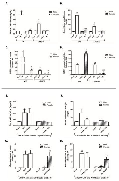 The Protective Pathways Activated in Kidneys of αMUPA Transgenic Mice ...