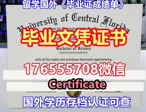 北京外国语大学历年高考录取分数线(含2017-2019年)