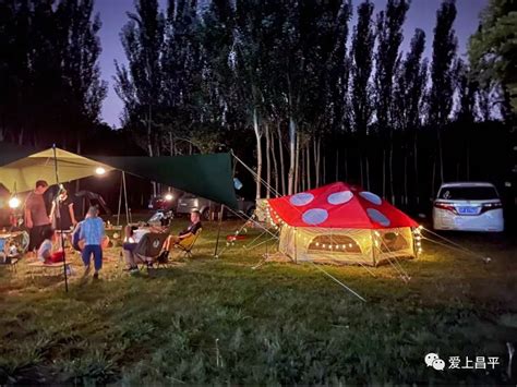 昌平温榆河畔私藏一处宝藏露营地！扎帐篷、户外赛、采摘，超多游乐活动等你来