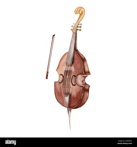 Vintage Double Bass musical instrument. Classical viola da gamba with a ...