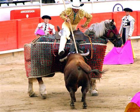 Bullfighting Rules
