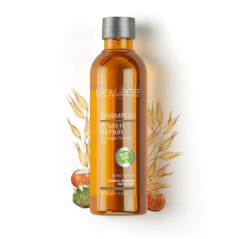 Buy Brillare Power Repair Shampoo For Damaged And Treated Hair ...