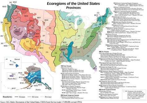 U.S Ecoregions : r/coolguides