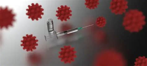 Clostridioides difficile bacteria