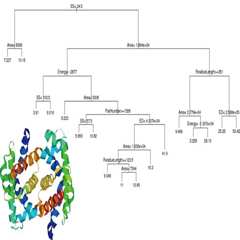 Supercomputing Facility for Bioinformatics & Computational Biology, IIT ...