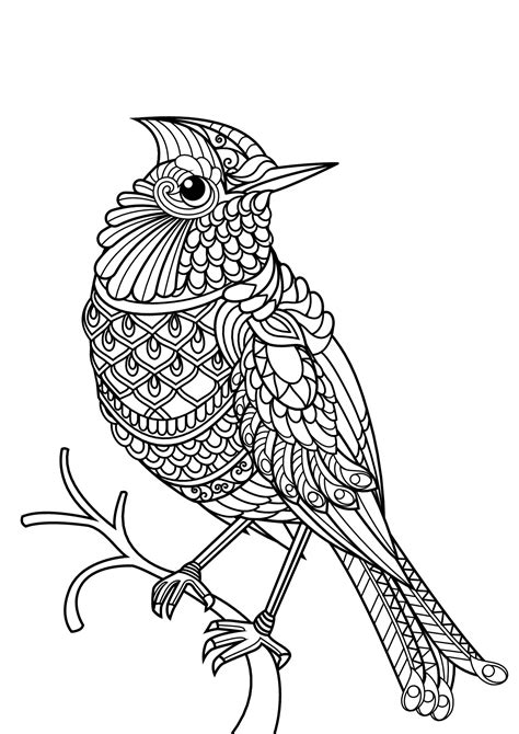 Collection of Printable Bird Coloring Pages - Free Printable