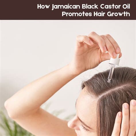 Jamaican Black Castor Oil: The Real Benefits | Clinikally