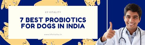 7 Best Probiotics for Dogs in India – K9 Vitality