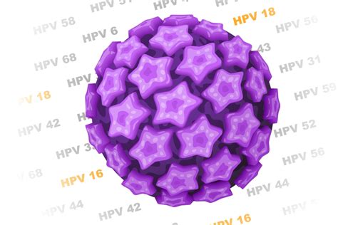 Why the politics of HPV are so muddled - The Washington Post