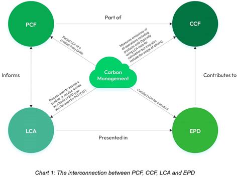 Sustainability Salad of Acronyms: Business and Planet Value Decoded
