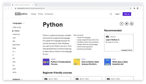 Image result for Codecademy Basic Reviews