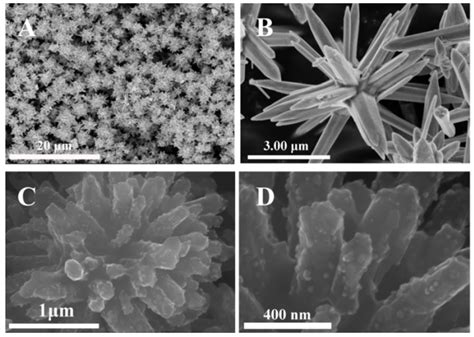 ZnO Tips Dotted with Au Nanoparticles—Advanced SERS Determination of ...