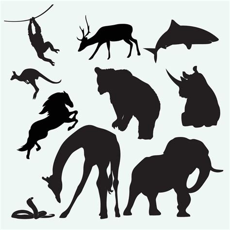 Image result for Python Animals Vector