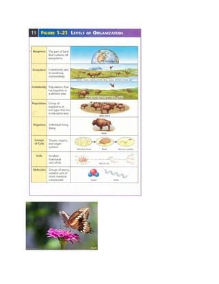 Image result for Abiotic Components Examples