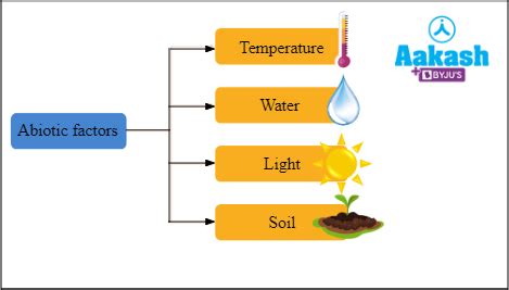 Soil Profile in Biology: Definition, Types and Importance | AESL