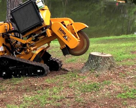 Auckland Tree Stump Grinder | Waitakere Tree Services