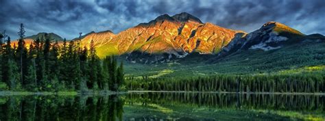 Image result for Dual Screen Desktop Monitor