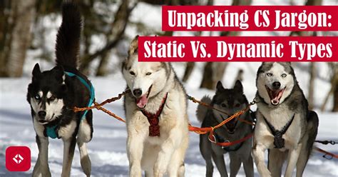 Image result for Static and Dynamic Types Java