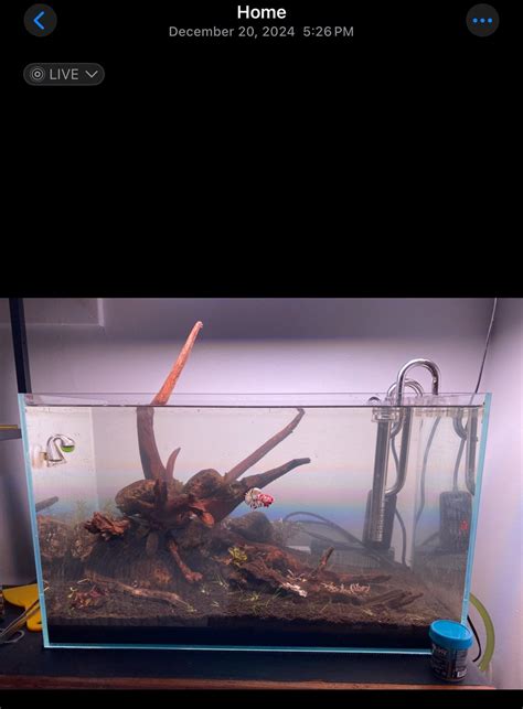 Last slide was approximately 5 weeks ago | Scrolller