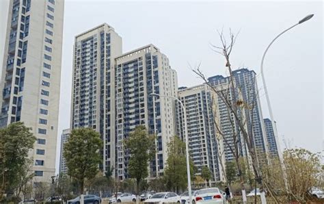 2022年重庆首付20万能买房吗？ | 小壮的自留地