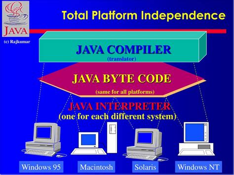 Image result for Java Life Code