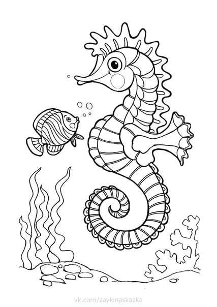 Image result for Python Program That Illustrates Data Type