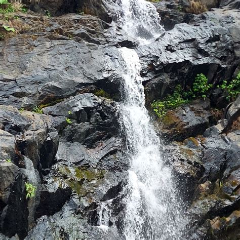 VANANDHAARA - COORG (Kutta) - B&B Reviews & Photos - Tripadvisor