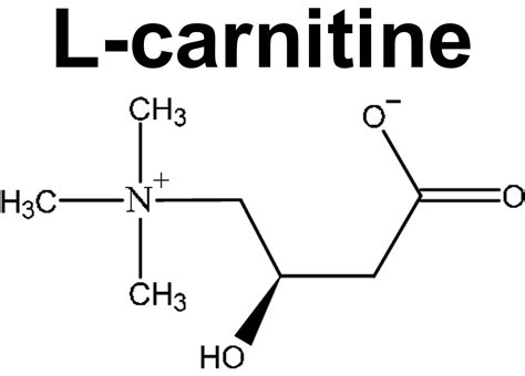 L-carnitine, functions, sources, uses, dosage & side effects