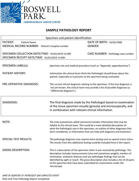 What Is A Pathology Report