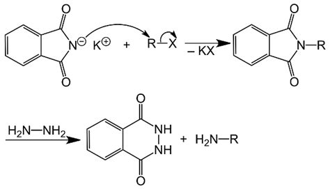 Gabriel Phthalamide Reaction | Chemistry for JEE