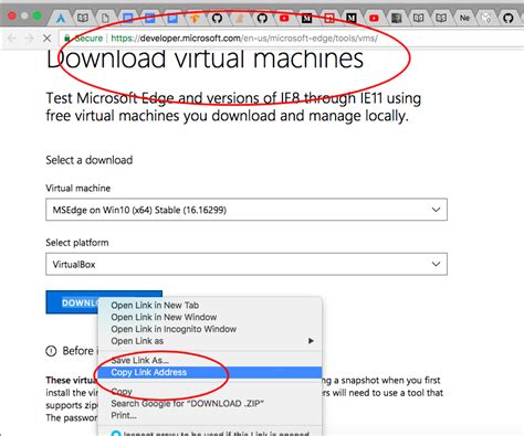 Install Internet Explorer Windows 的图像结果