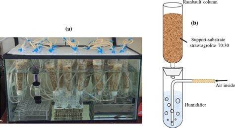 Semi Solid State Fermentation 的图像结果