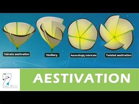 Types of Aestivation Video Lecture - Biology for ACT