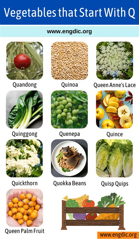 Fruits And Vegetables That Start With The Letter Q at Phyllis Gordon blog