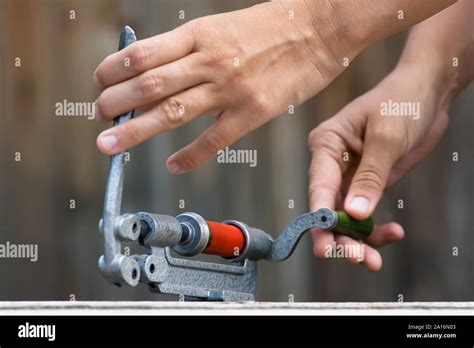 Image result for Shotgun Reloading