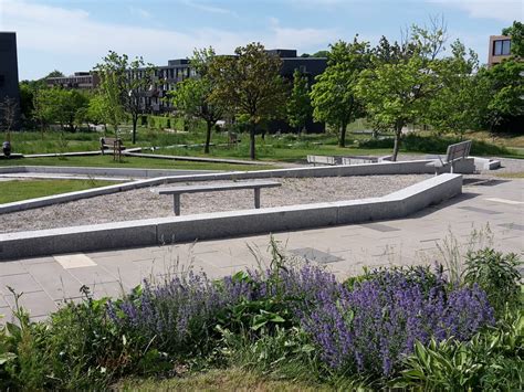 Cities 的图像结果