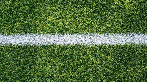 Sports field Background 的图像结果