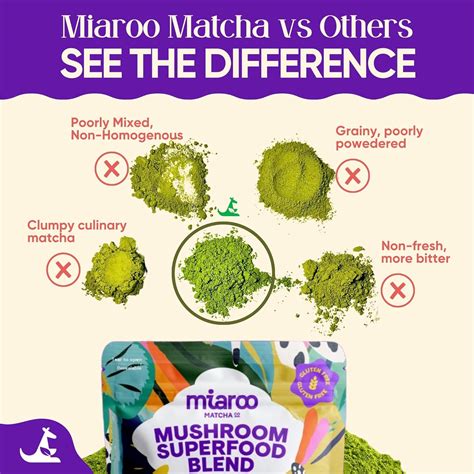 Miaroo Mushroom Matcha 150g (25 servings, 70mg Caffeine, India | Ubuy