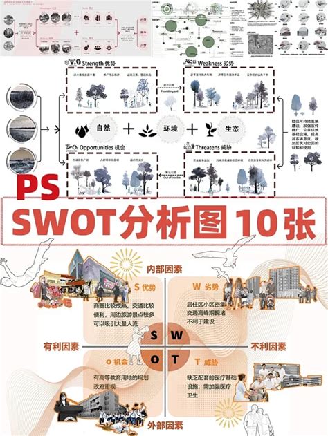 Swot图 的图像结果