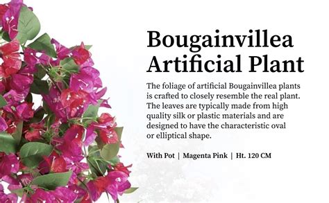 Fox & Fern Artificial Bougainvillea Plant | with Basic Pot | Elevate ...
