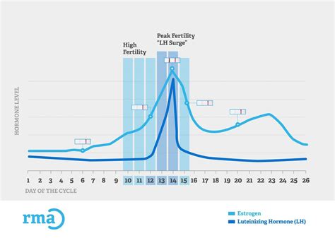LH Surge: When to Detect Peak Fertility with an OPK
