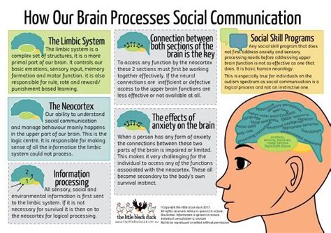 Image result for Homework Visual