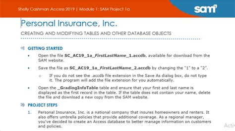 Image result for Sam Access Module 1 Project 1A