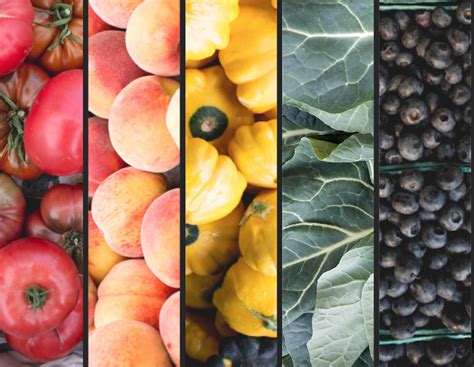 Physical Education 的图像结果